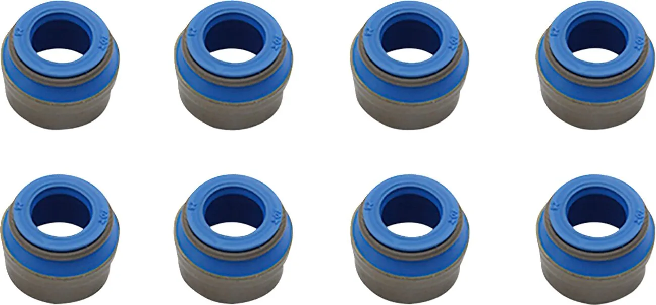 Valve Guide Seals