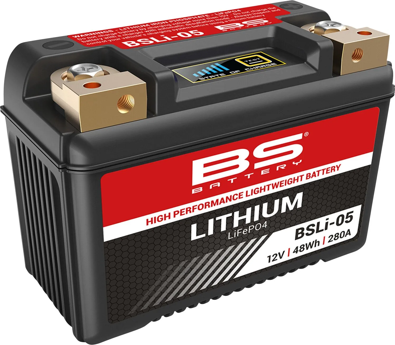 Lithium LiFePO4 Battery