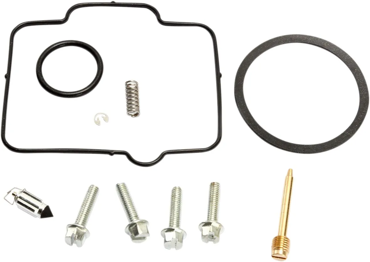 Carburetor Repair Kit