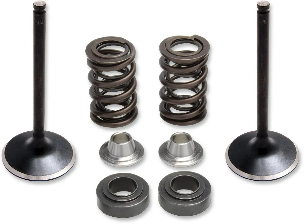 Intake Stainless Conversion Valve and Spring Kit