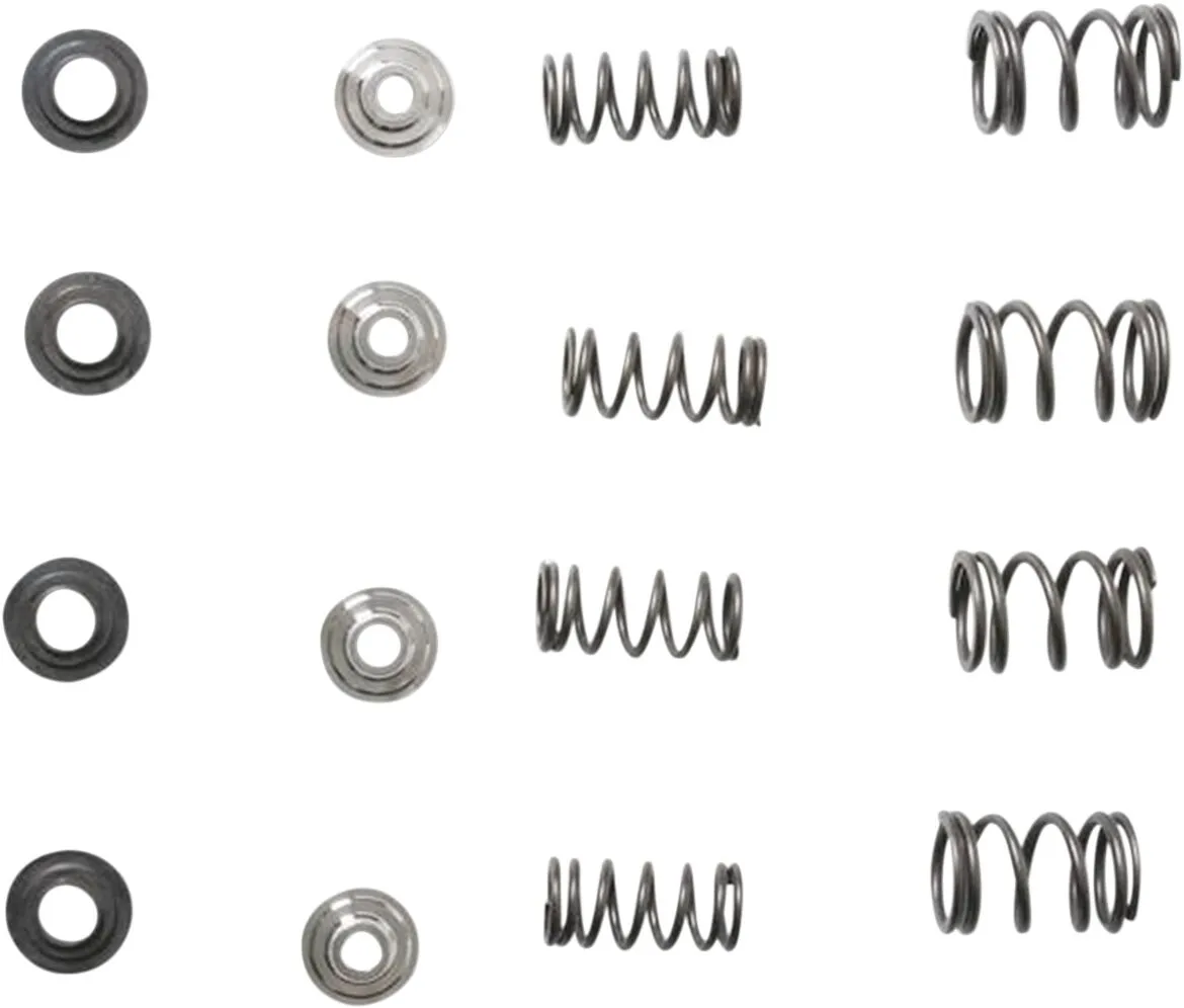 Valve Spring Kit