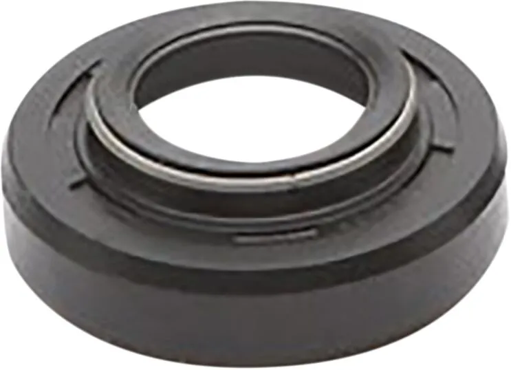 Dust Seal