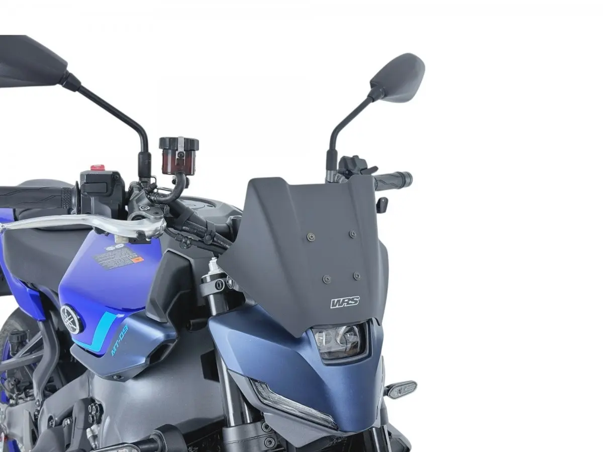 Слюда Спорт MT-09