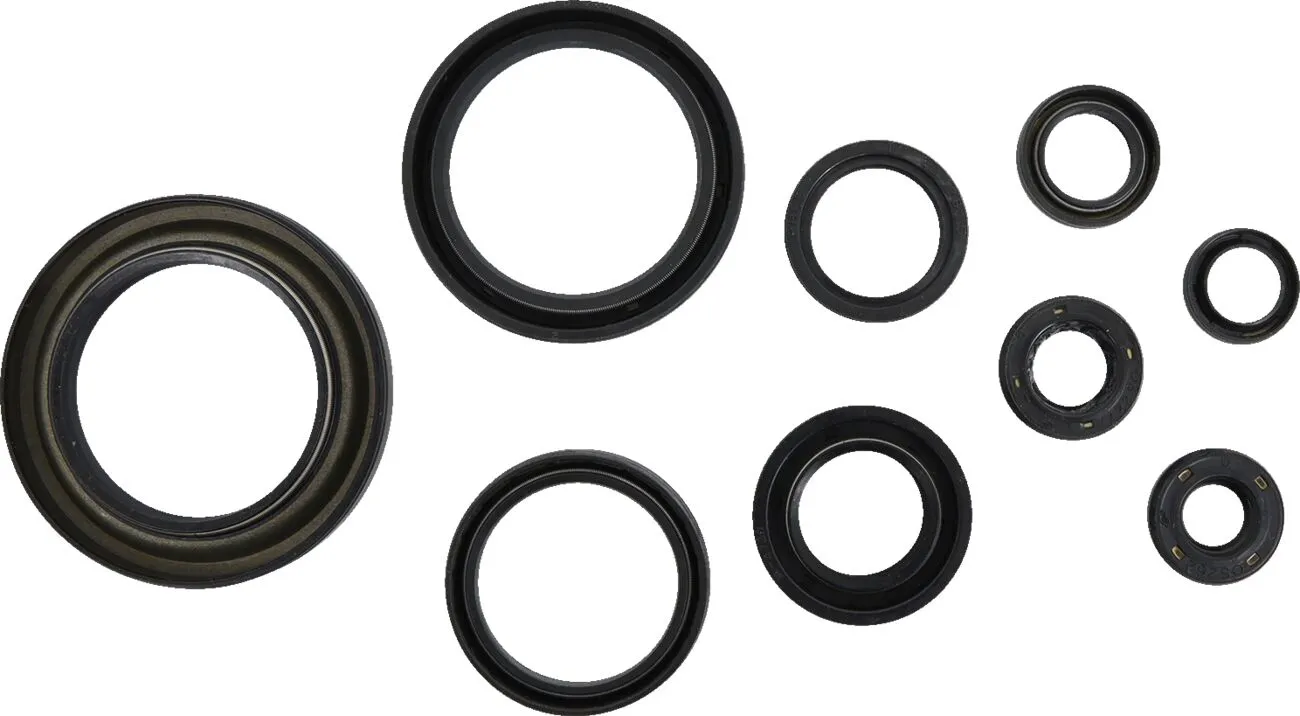 Oil Seal Kit