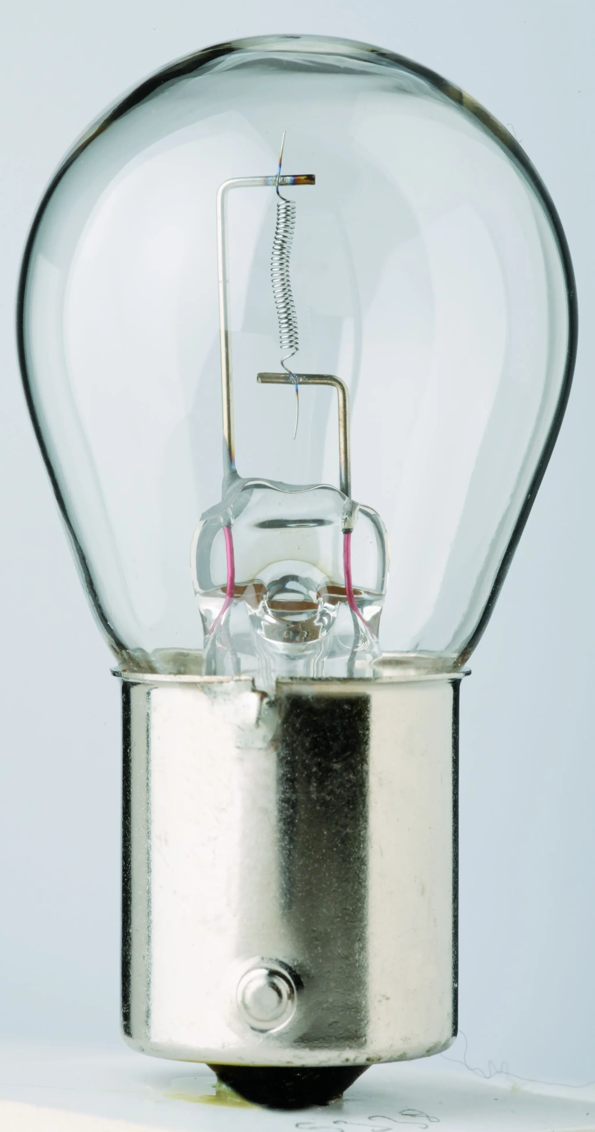 Filament Bulbs