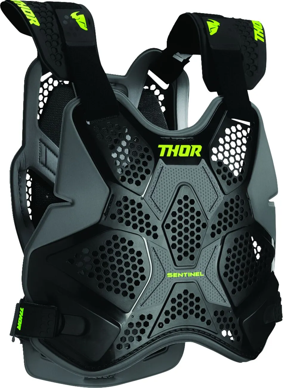 Sentinel Pro Guard