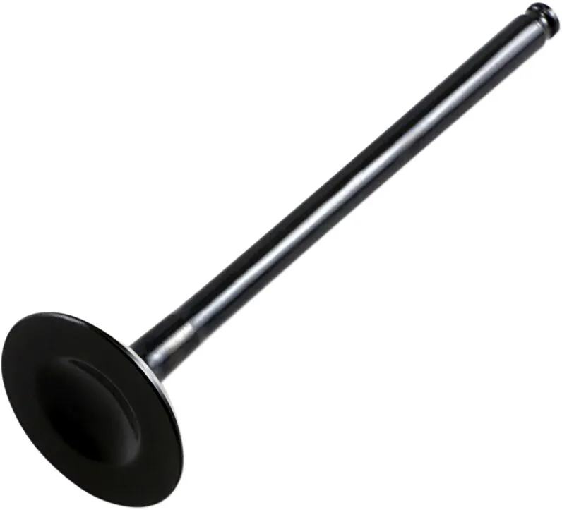 Replacement Valve