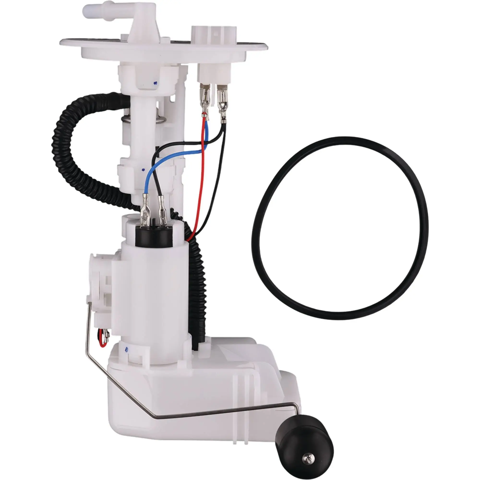 Fuel Pump Module