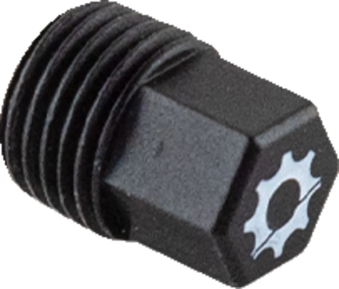 Engine Drain Plug