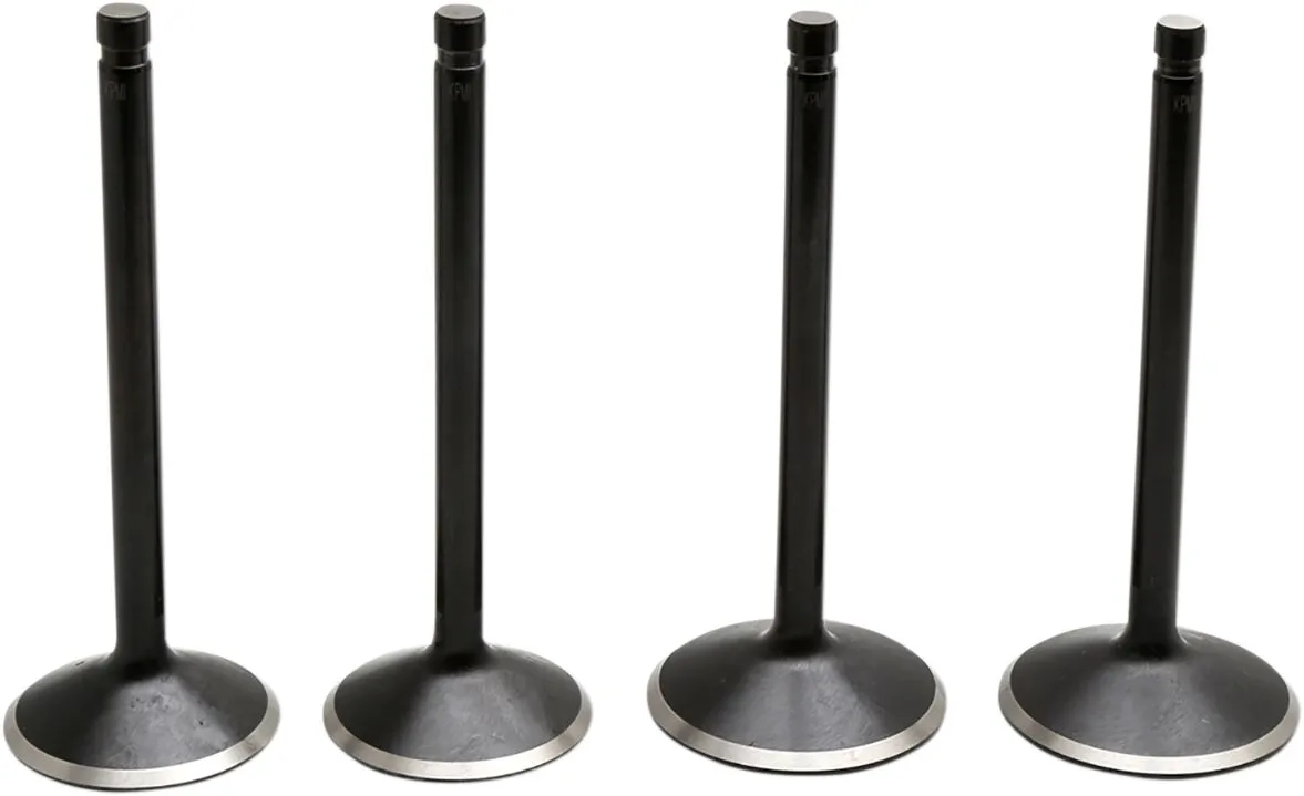 Black Diamond™ Engine Valve Kit