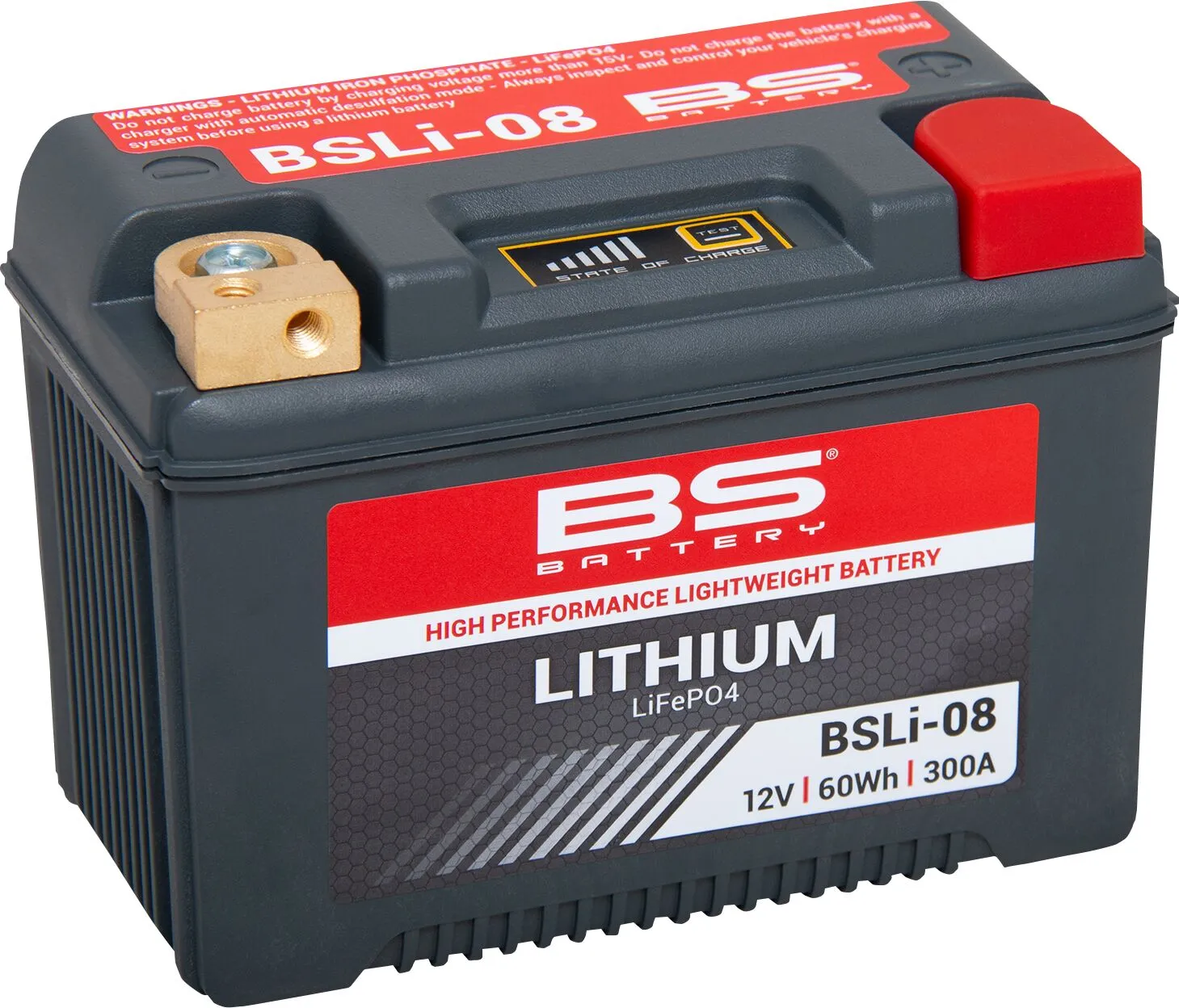 Lithium LiFePO4 Battery