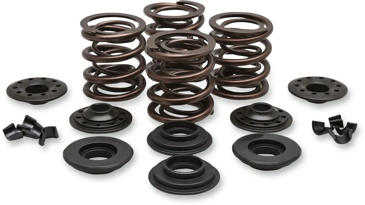 OEM Replacement Valve Spring Kit