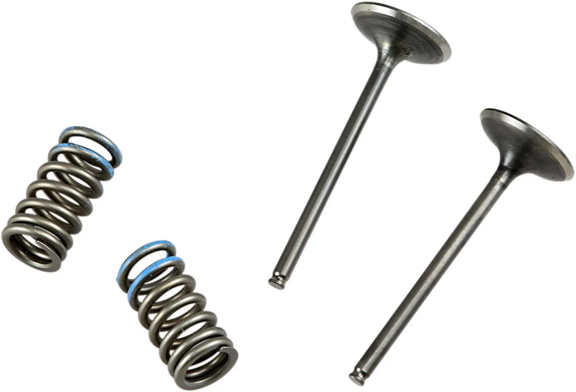 Valve and Spring Kit