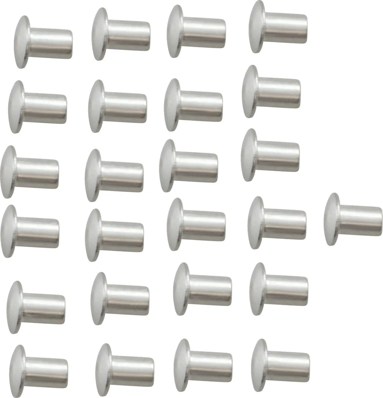Front Fender Rivets