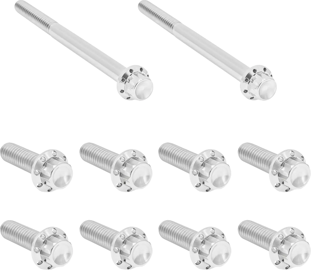 Transmission Side Cover & Trap Door Titanium 12-Point Bolt Kit