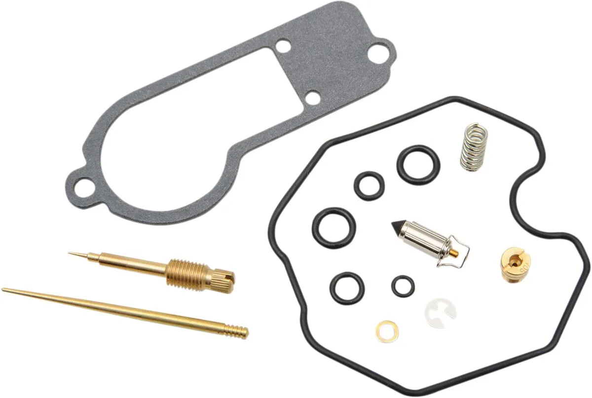 Carburetor Repair Kit