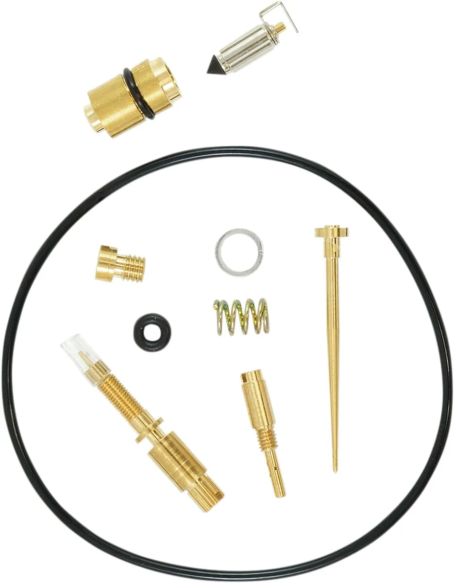 Carburetor Repair Kit