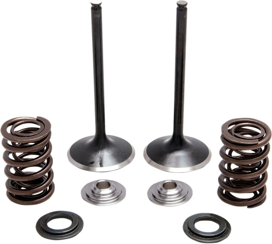 Intake Stainless Conversion Valve and Spring Kit