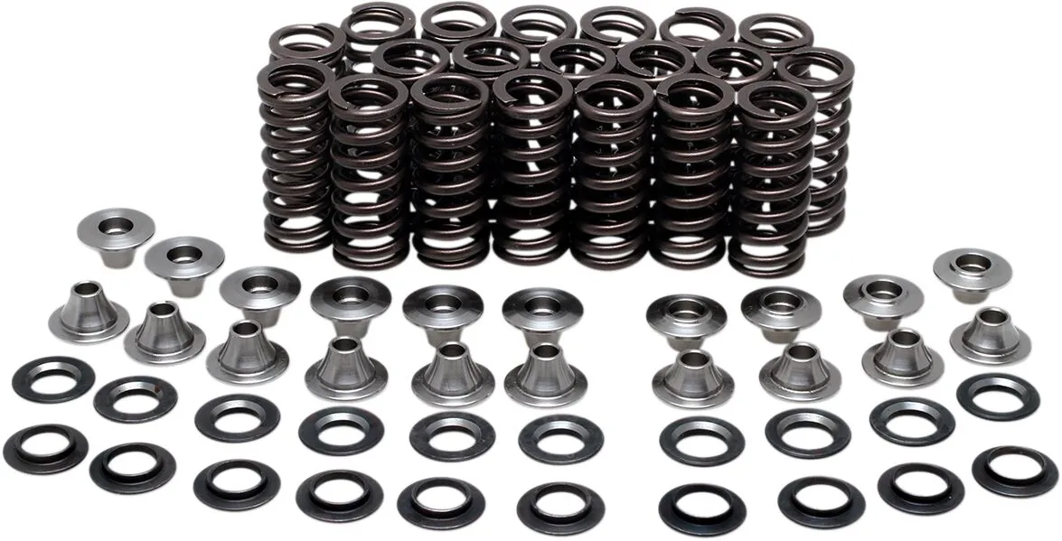Valve Spring Kit