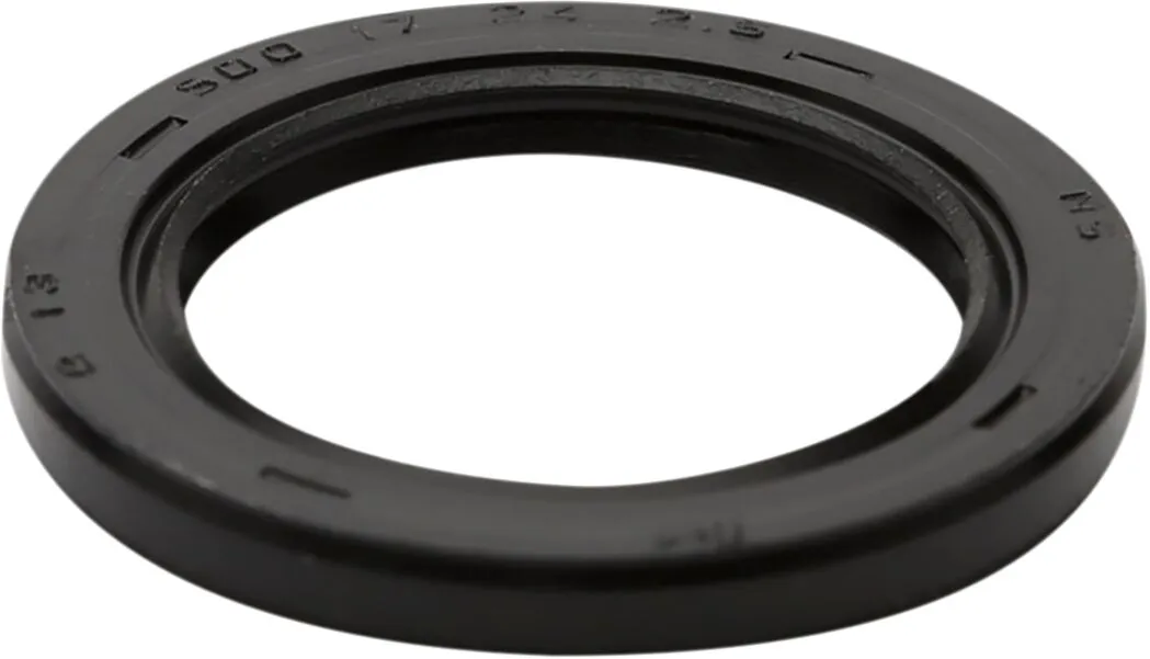 Dust Seal