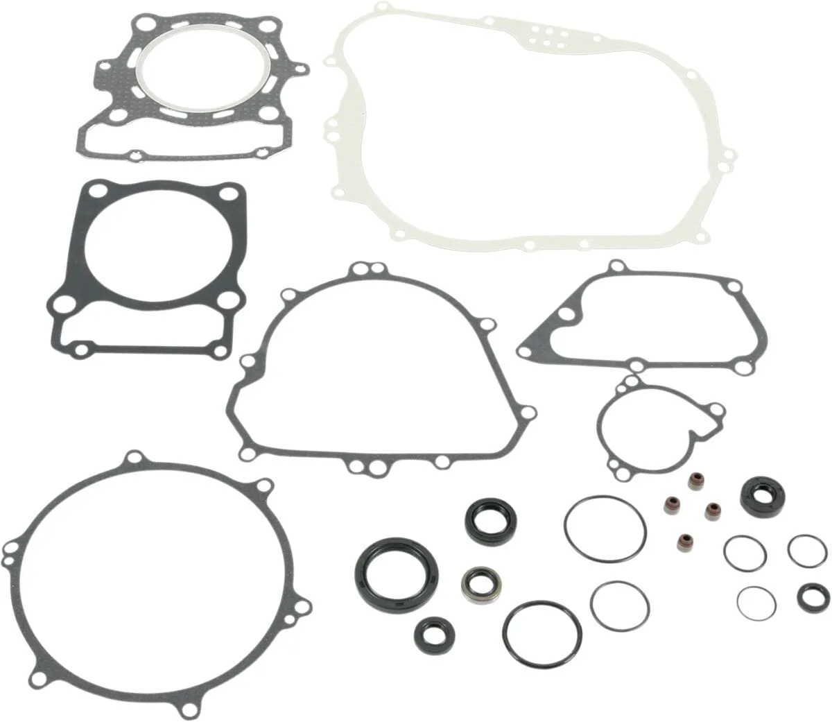 Complete Gasket and Oil Seal Kit